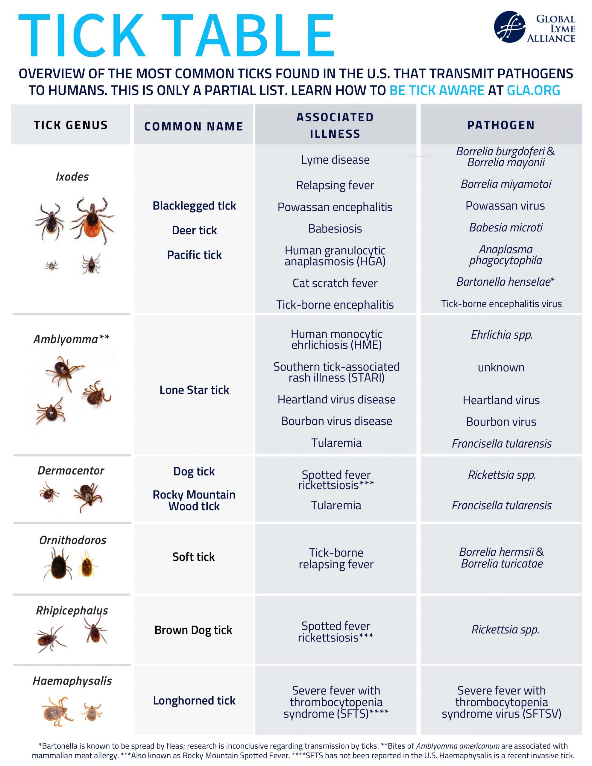 Ticks in the USA